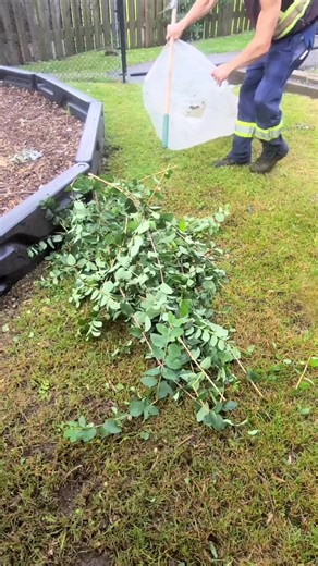 513K views · 958 reactions | Easy way to pick up trimmings! #cleaning #cleanup #landscaping #tip #tips #propertymaintenance #facebookreels | Landscaping_daily | Facebook