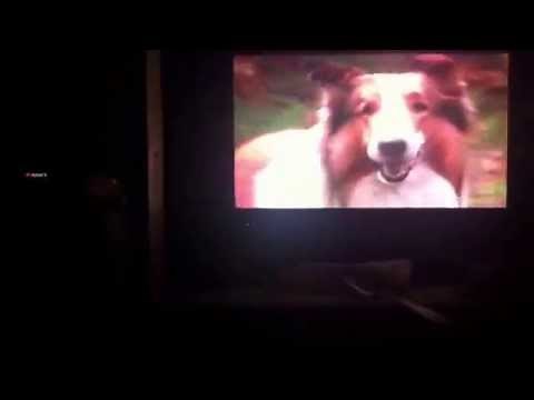 Opening to Rugrats: grandpas favorite stories 1996 VHS