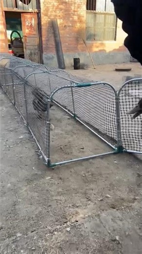Beautiful Backyard Poultry Tunnel Run Setup 🐓🐔🦆🦢