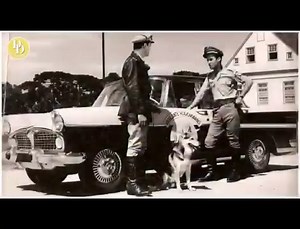 19K views · 954 reactions | SERIADO - O VIGILANTE RODOVIÁRIO. A bordo...