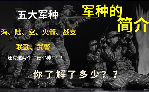原来还么多军种，海陆空火箭战支联勤武警部队，各大军种的基本情况，想要了解部队的大体简介！兵种之间的区别是什么？#bilibili新星计划#