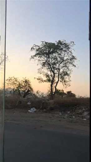 प्रवास आनंद आहे #परंतु #java#python #dot.net#bitcoin#treding#india#word#explore#vlogger#2026#goa#111