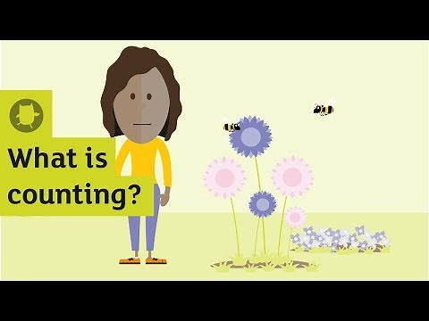 What is counting? | Oxford Owl