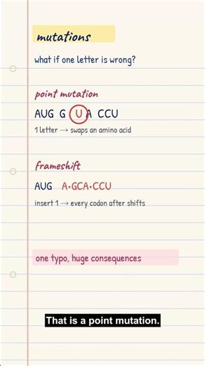 Mutations: point vs frameshift #Shorts