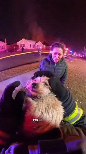 She Was Crying… Then I Returned #animals #emotional #hero #sadstory #saveddog