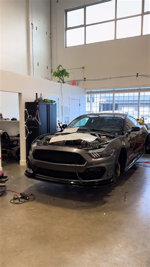Whippled gt down Just kidding Front bumper bulk install ppf complete front splitter removed and ppf complete Dm to@Get your vehicle protected #viralvideo #ppf #surrey #deltabc #fyp