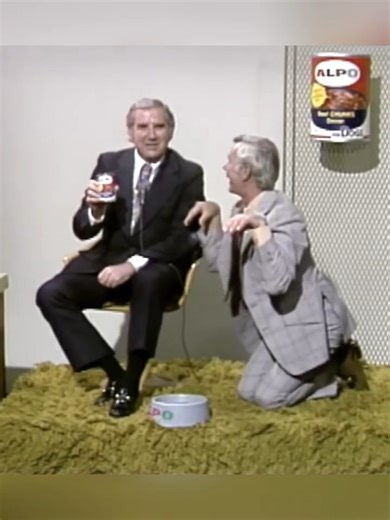 Blooper: Johnny Helps Ed With the Alpo Commercial 1973 😂😂 I Can't Stop Laughing | Funny Talk Show 70s 80s