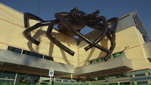 50K views · 151 reactions | Massive spiders are blowing up on Goodwills everywhere! Check it out! Visit any Goodwill store (except Boutiques and Outlets) and find the secret spider code inside the store on one of our Halloween signs. Message the code to us on Facebook for a chance to win a $100 Goodwill gift card! | Goodwill Industries of the Columbia Willamette | Facebook