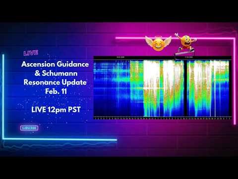 Ascension Guidance & Schumann Resonance Update LIVE!