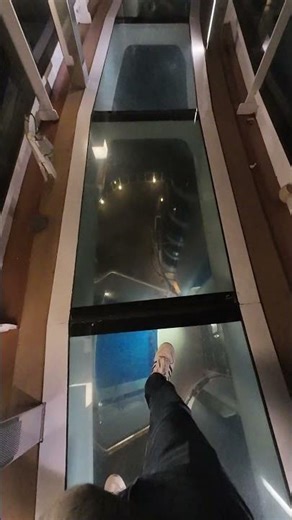 Descubriendo el MSC Seaside mientras cruzamos el oceano! 🌠 Cruza con nosotros el Bridge of Sighs