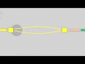 5 2 Isotype Switching