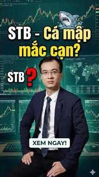 STB CÁ MẬP MẮC CẠN #lctv #stb #sacombank