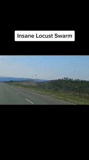 Massive Locust Swarm Captured in Stunning Footage