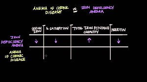 Chronic disease vs iron deficiency anemia