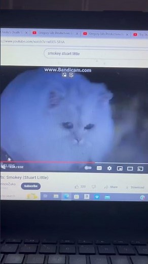 Stuart Little Smokey Falls In The Water Disney Pixar’s Toy Story 2 Activity Center Scream Version