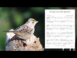His Eye Is On the Sparrow (PIANO SOLO ~ with Lyrics)