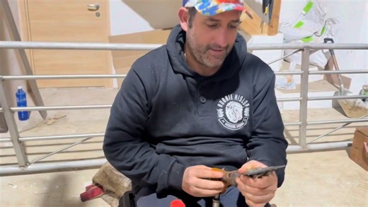 Getting The Combs Ready For Shearing 🐑 2025 Courses are running out! Book Yours Now!! Shearing / Equipment / Coaching / Clothing LINK IN BIO #sheep365 #RobbieHislop #sheepshearing #sheep #sheepofinstagram #sheepfarm | Shearing school
