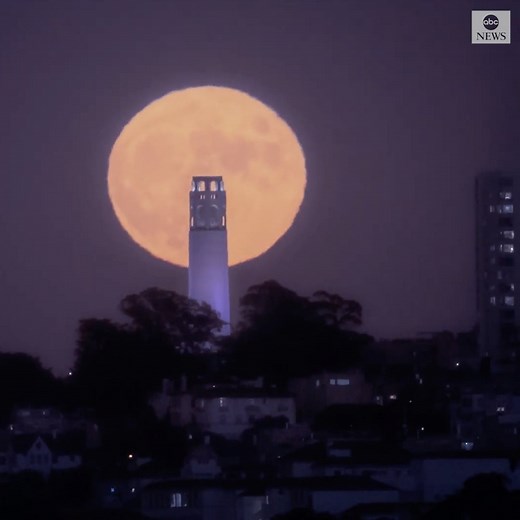45K views · 623 reactions | Full moon rises over San Francisco in stunning timelapse footage captured earlier this week. https://abcn.ws/2XQxLMb | ABC News | Facebook
