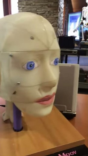InMoov Robot Head Demo