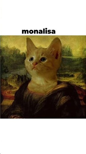 sa re ga ma 😅 #catmemes #funnymemes #viralshorts #funnyshorts#memes #trendingshorts #trendingmemes