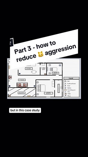 Dr. Annie | pet behaviorist on TikTok