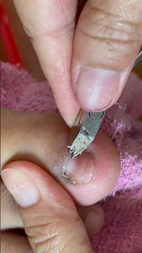 How to Cut nails 🇺🇸✂️💅✨🥳 #NEP-172 .#nails #nailart #lifestyle #naildesign