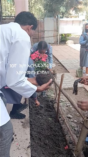 Plant Conservation Efforts in Ethiopia