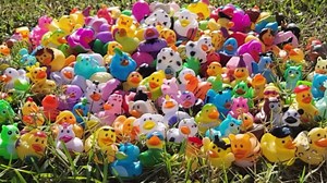 12-Pack Assortment Rubber Duck Toy Duckies for Kids, Bath Birthday Gifts Baby Showers Classroom Incentives, Summer Beach and Pool Activity, 2"