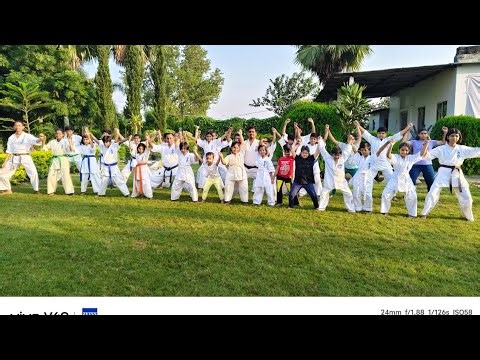 “Kids Karate Training 🥋 | Discipline and Power | Learning Karate Channel l 