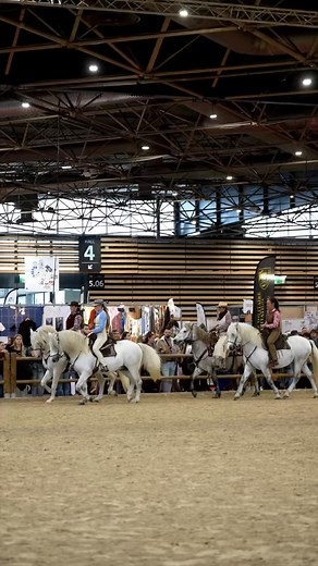 La Camargue à Equita’Lyon 💥 Que de belles présentations de nos chevaux Camargue et nos éleveurs tout au long de ce salon. Profitez de ce dernier jour pour aller les rencontrer, et leur rendre visite sur le stand de l’AECRC. Merci pour la Vidéo : le studio de math | Association des Eleveurs de Chevaux de Race Camargue