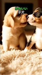子犬たちのかわいい瞬間がいっぱい！