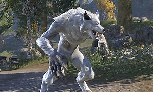 How To Become A White Werewolf In ESO - EIP Gaming