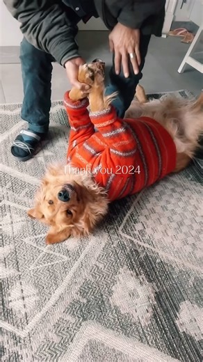 26 reactions | 2024 was a year of hope and new beginnings for these...