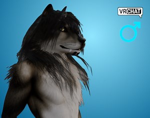 ZealotDKD Wolf Husky Male (Vrchat Blender) by ZealotDKD