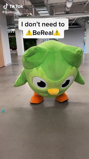 Discover the Unforgettable Duo: Duolingo and Dua Lipa!