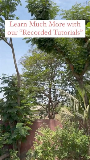 6K views · 65 reactions | Now You Can Learn Dance:1) Very...