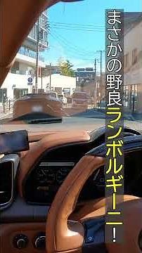 これは珍しい！ #shorts