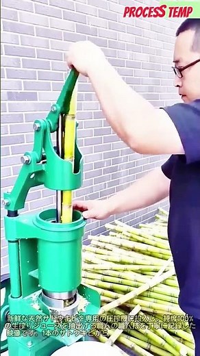 サトウキビを丸ごと搾る！伝統的な生搾りジュースの製造プロセス #worker #process #sugarcane #juice #streetfood