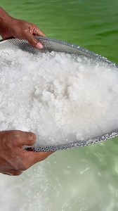 "Extracting Salt from Sea Water" #SaltExtraction #SeaSalt #NaturalResources #SustainableFarming #OceanHarvest | Be You