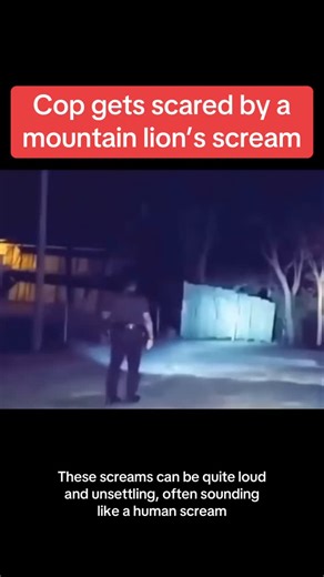 82 reactions · 11 shares | A police officer being startled by a loud...