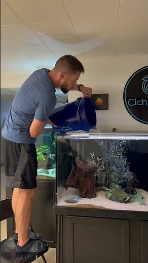 Adding Cichlids to the 180 Gallon Aquarium!