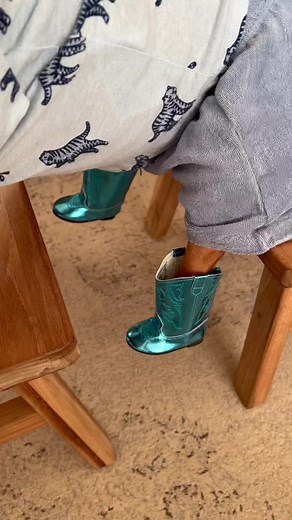 Dog Wearing Cowboy Boots Video Compilation