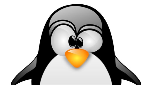 在 PlayStation 2 上安装 Linux！