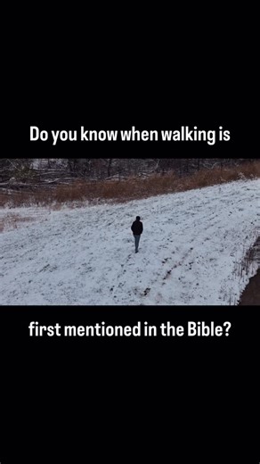 Active Theology on Instagram: "When is walking first mentioned in the Bible? And who is doing the walking? Genesis 3:8 says, “And they heard the sound of the Lord God walking in the garden in the cool of the day, and the man and his wife hid themselves from the presence of the Lord God among the trees of the garden.” God chooses to walk with us. His divine presence is a gift we have on a daily basis. I recently wrote a short blog on this topic as a way to meditate on the gift of Jesus this Adven