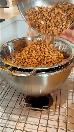 Bean soaking and sprouting