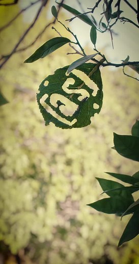 adult swim #adultswim #fyp