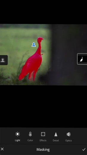 Mastering Meticulous Editing in Photography