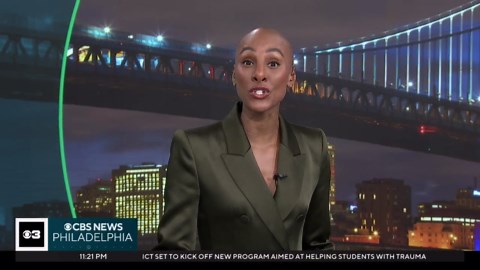 Shark washes up on beach in Wildwood, New Jersey