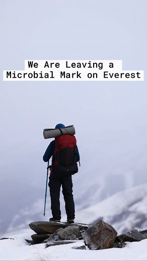 Mount Everest adventurers are leaving behind hardy microbes 🗻 Read more: https://technet.works/MicrEver | The Science Explorer