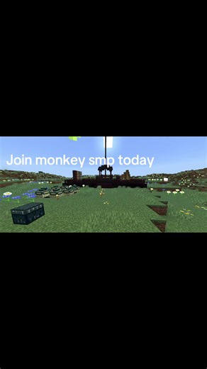 #fyp #bedrock#realm#minecraft#bliss